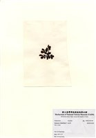 藏品(重緣葉馬尾藻)的圖片